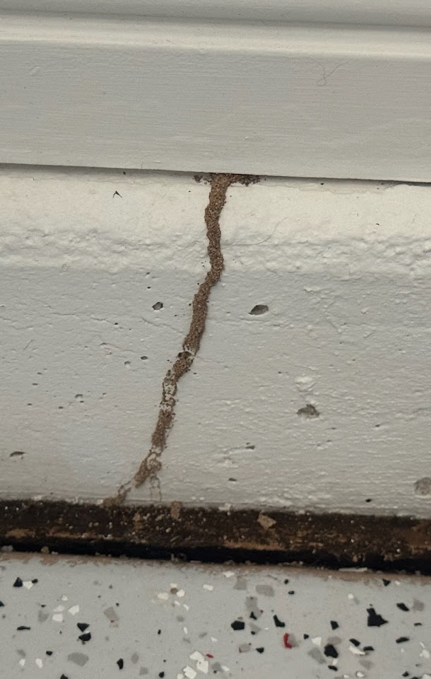 Precise Pest Solutions project